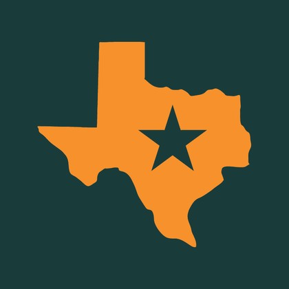 Texas BBQ icon